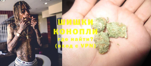 ПСИЛОЦИБИНОВЫЕ ГРИБЫ Медвежьегорск