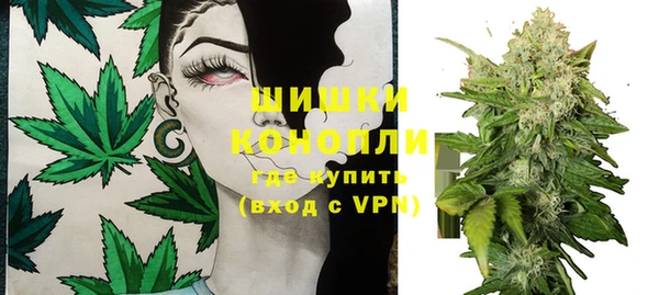 бошки Мегион