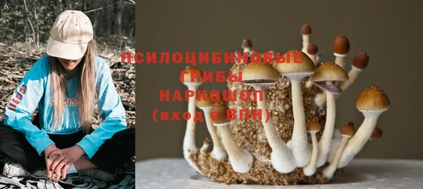 MDMA Медногорск